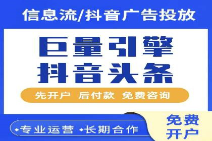 大型企业SEM外包实战案例